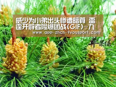 威少为小弟出头惨遭暗算 雷霆开辟者险爆团